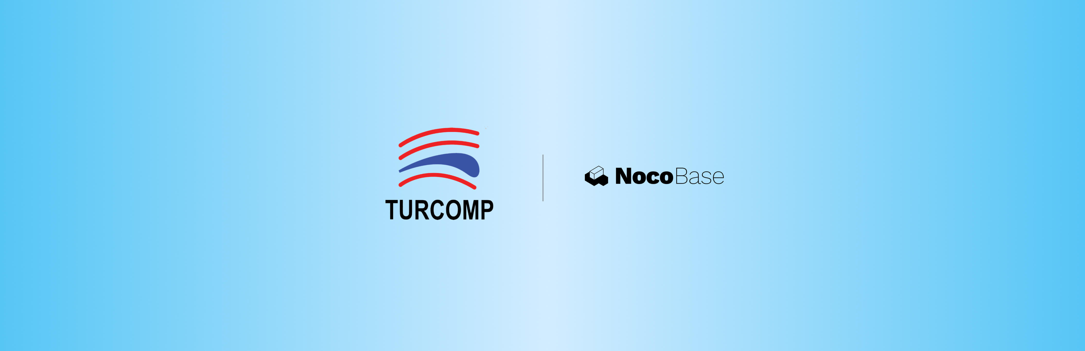 能源公司 Turcomp 通过 NocoBase 实现敏捷、安全开发