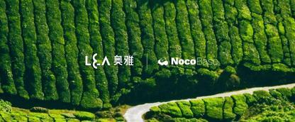 奥雅的数字化新版图：用 NocoBase 探索精细化管理新可能