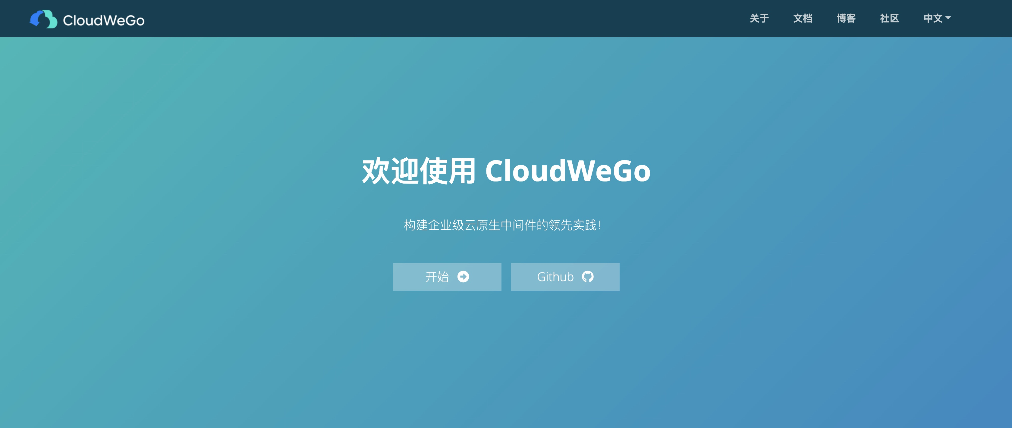 [ CloudWeGo 微服务实践 - 06 ] 服务发现（1）