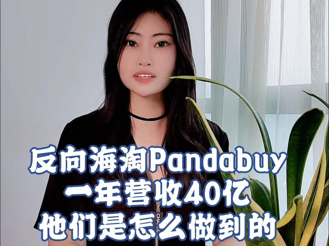 "Pandabuy事件后，淘宝代购集运系统如何强化仿牌敏感词风控策略"