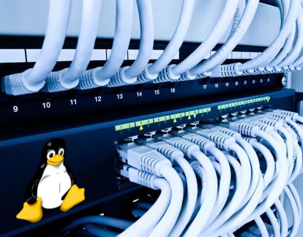 如何在 Linux 上重新启动网络接口？
