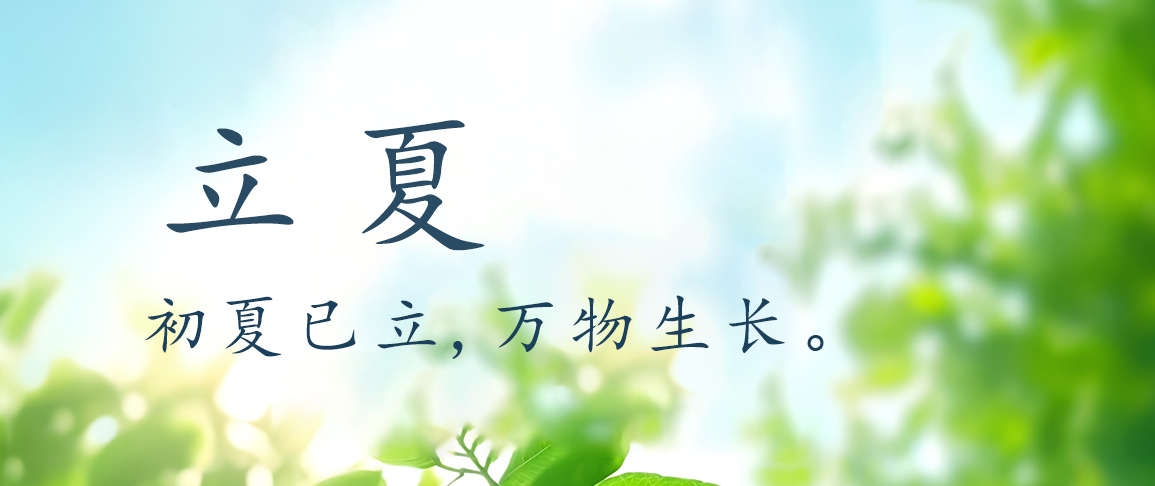 立夏 | 立足当夏,向阳而生