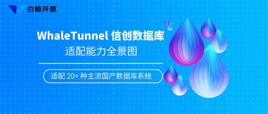 WhaleTunnel 信创数据库适配能力全景图:打通国产数据生态的最后一公里
