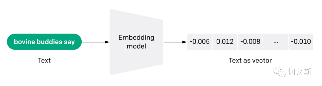 文本 Embedding 基本概念和应用实现原理