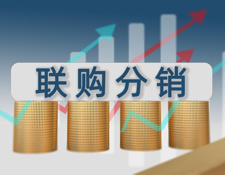 智慧城市 O2O 分销系统:连接城市服务与高效分销的创新解决方案