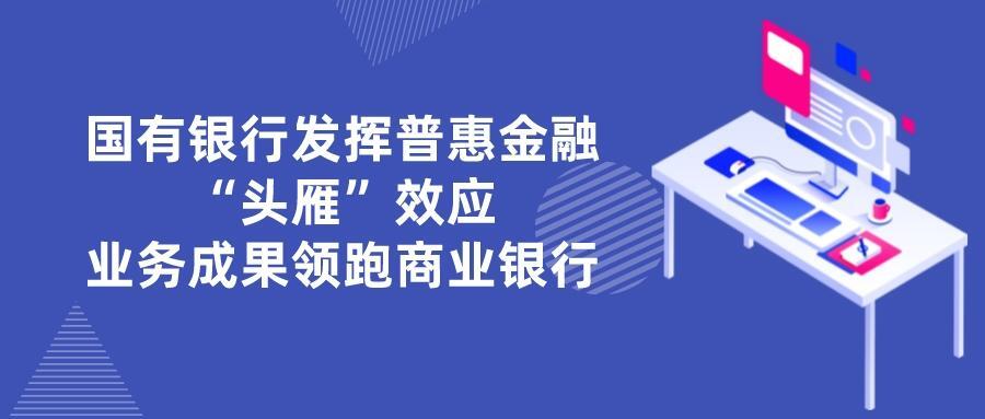 国有银行发挥普惠金融“头雁”效应，业务成果领跑商业银行