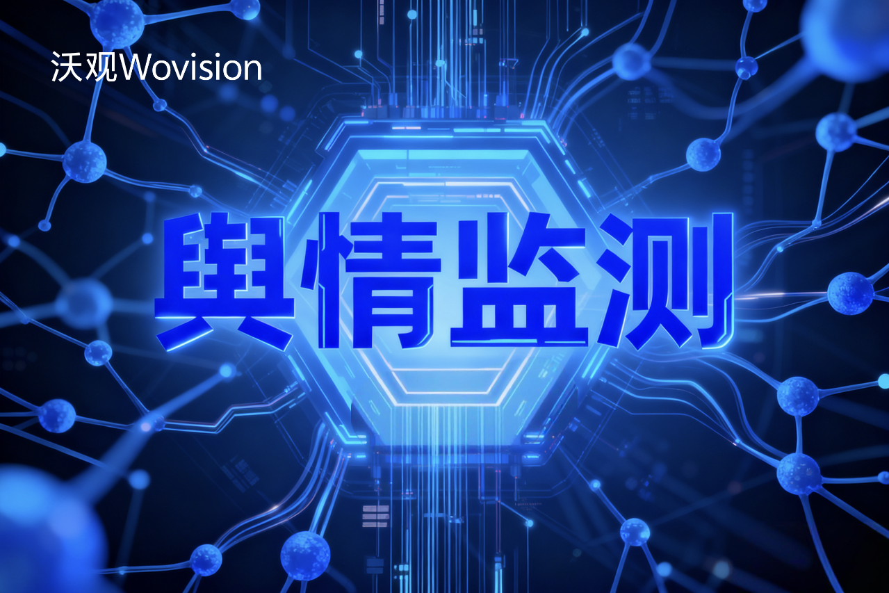 2025年企业级海外社交媒体分析系统选型指南