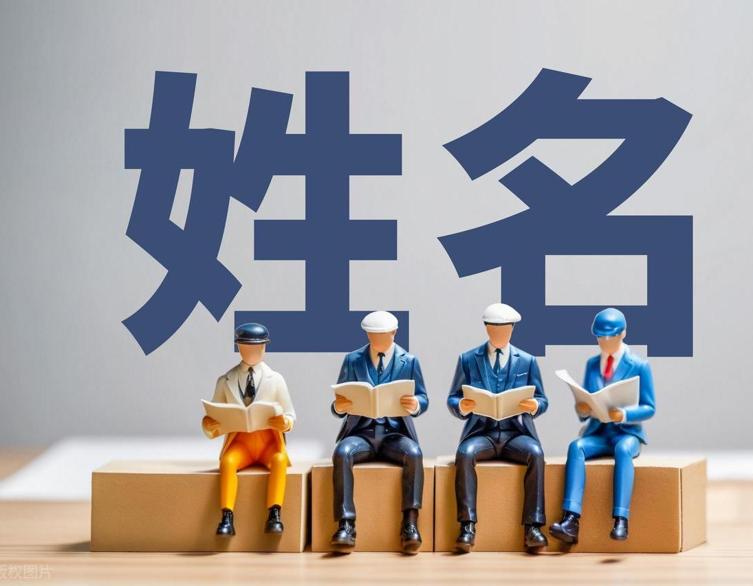 全国重名查询助手:多省一键查重,兼具实用与收益的小程序系统