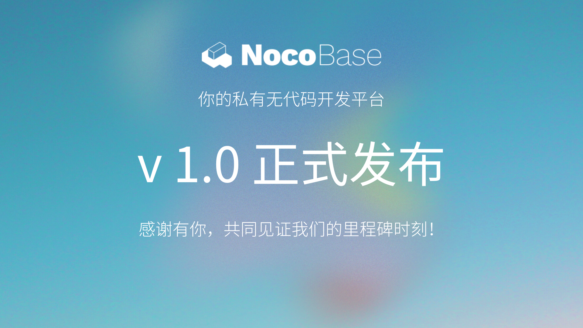 🎉重大更新！开源无代码 / 低代码平台 NocoBase v1.0 正式发布！