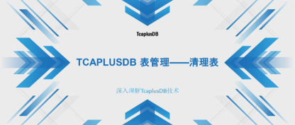 【深入理解TcaplusDB技术】TcaplusDB 表管理——清理表