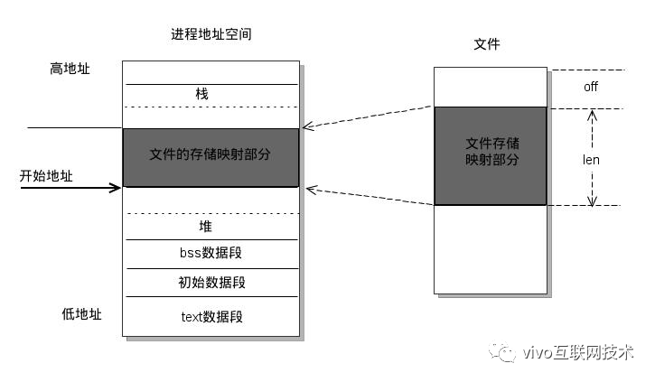 共享内存原理与VCS监控采集实战