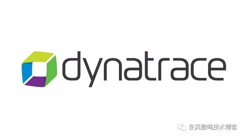 Dynatrace抓取系统中的任何方法Method的参数值