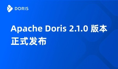 Apache Doris 2.1.0 版本发布：开箱盲测性能大幅优化，复杂查询性能提升 100%
