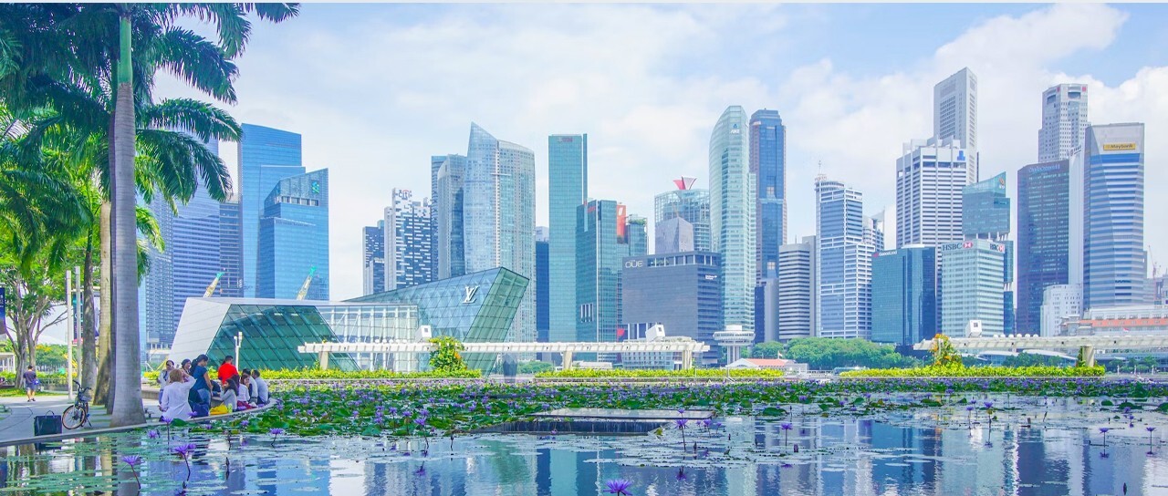 为什么新加坡会成为国内企业出海的第一站？