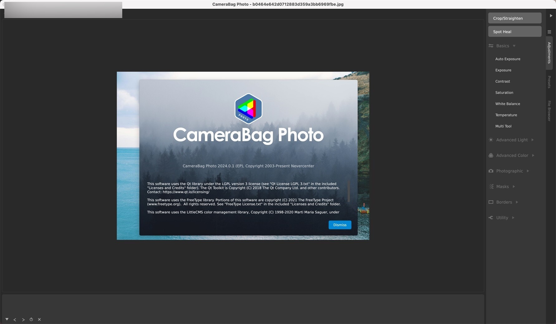 Nevercenter CameraBag Photo for Mac(照片滤镜软件) 2024.0.1永久激活版