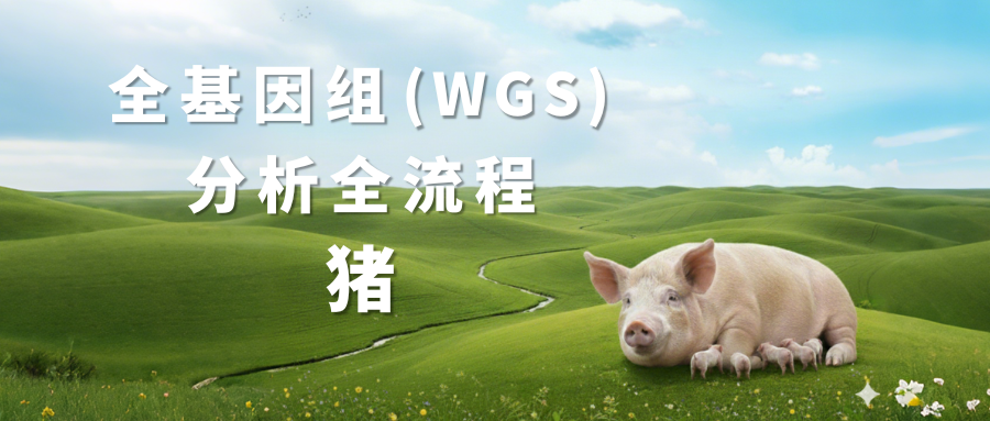 Sentieon | 猪全基因组（WGS）分析全流程