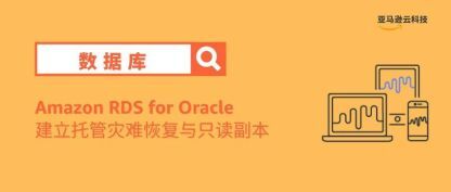 使用Amazon RDS for Oracle配合Oracle Active Data Guard建立托管的灾难恢复与只读副本