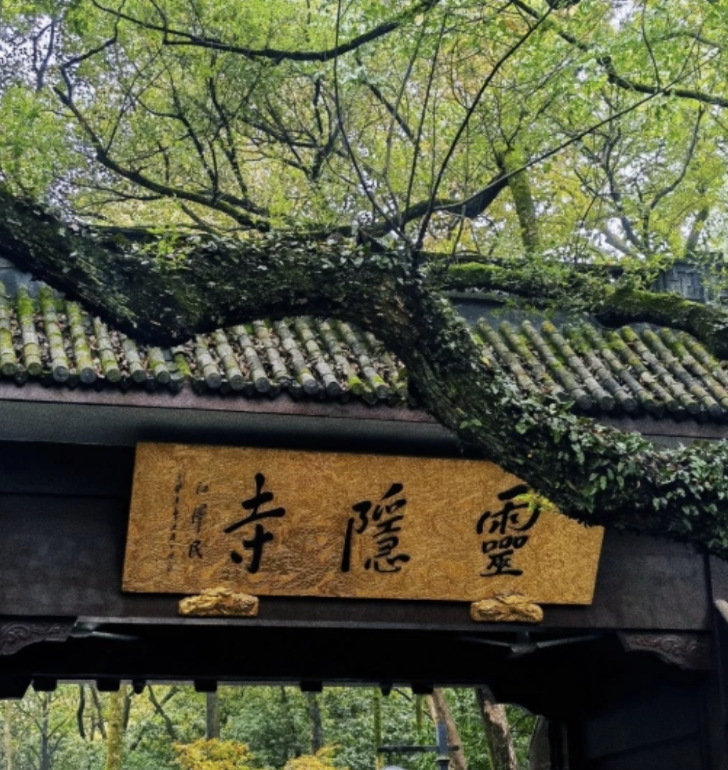 40岁程序员同事被撸下技术Leader后，我们去灵隐寺聊了聊出路及副业销售18万的操作