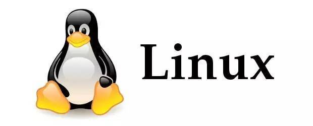 linux 设置VPN