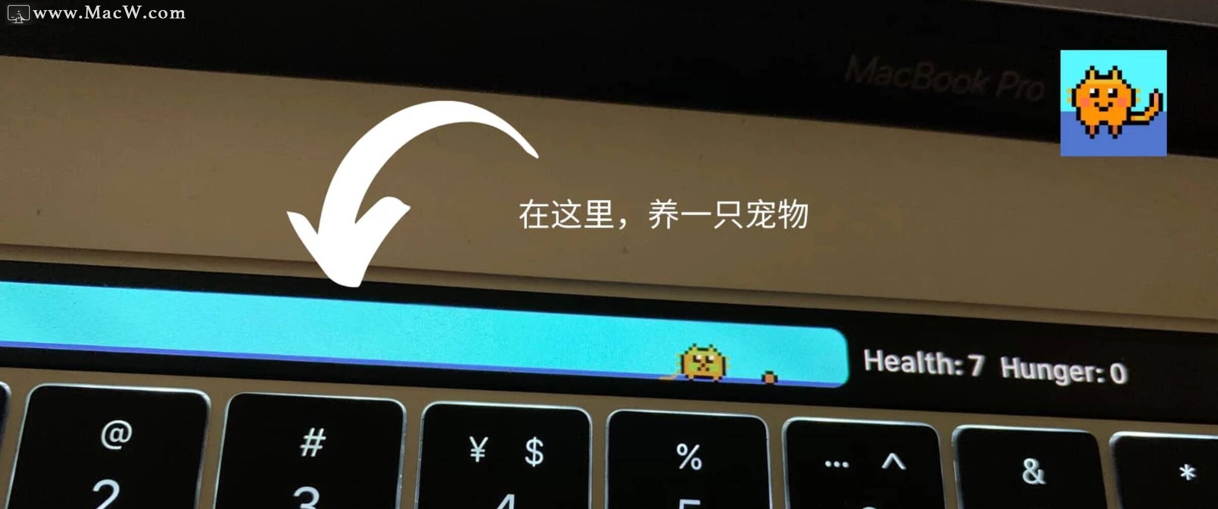 Touch bar pet for Mac(在macbook上养一只宠物)