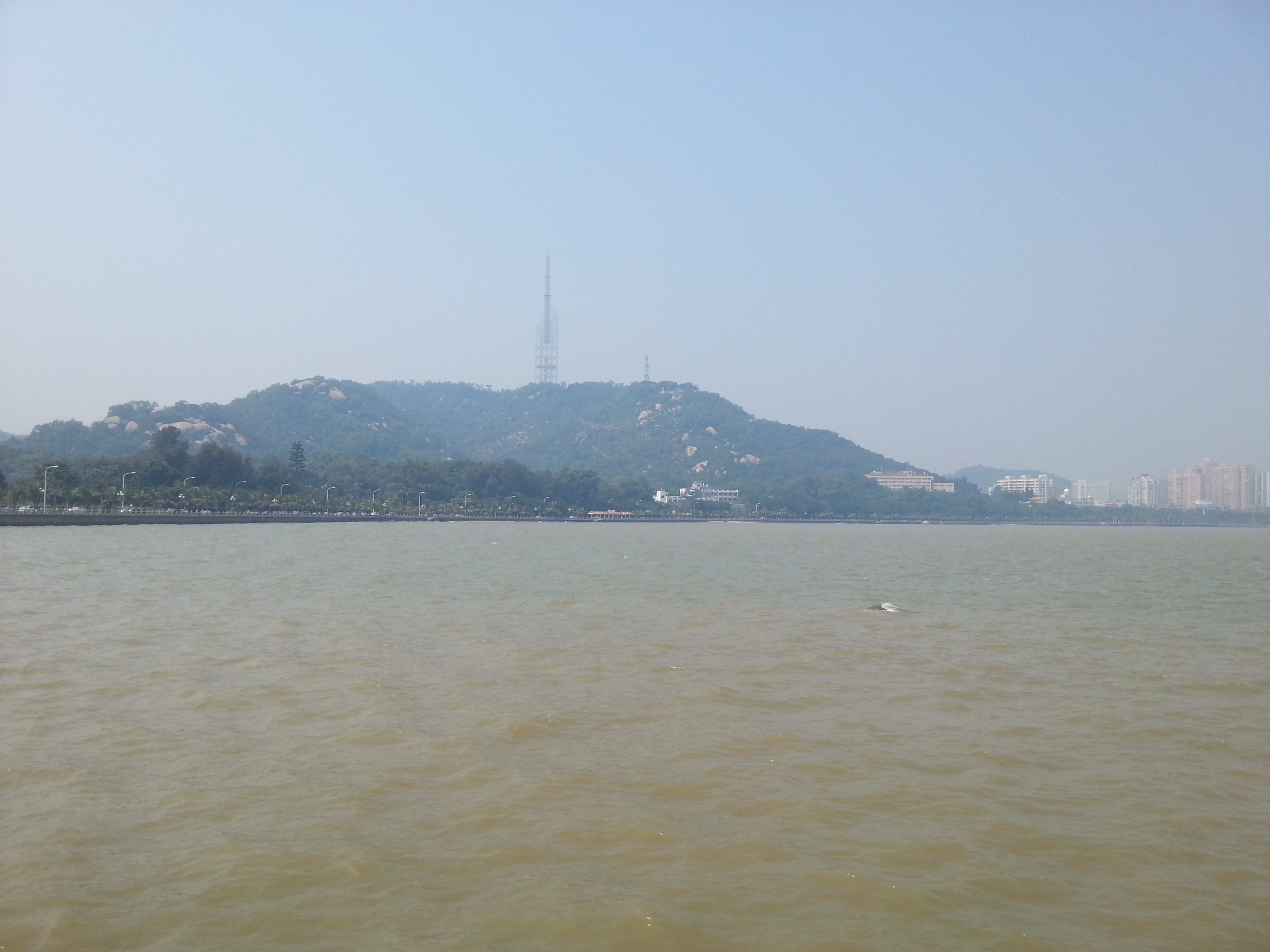 架构师训练营第七周学习总结