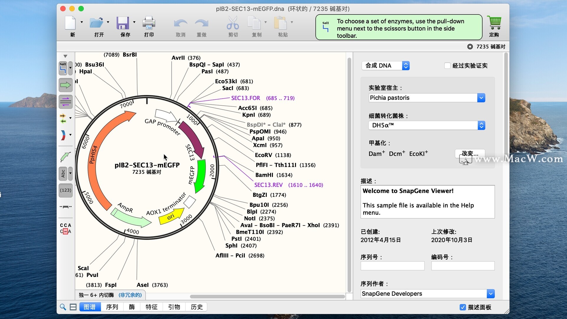 DNA序列分析软件 SnapGene 5 v5.3.1中文激活版 下载安装