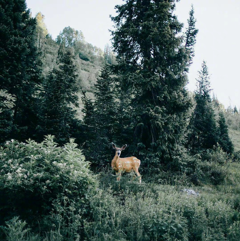 AI跨界潮：金融精英与应届生正涌入人工智能领域