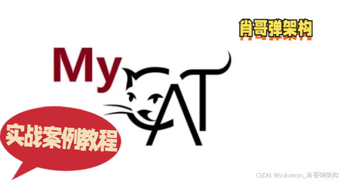 MyCat应用实战：分布式数据库中间件的实践与优化（篇幅一）
