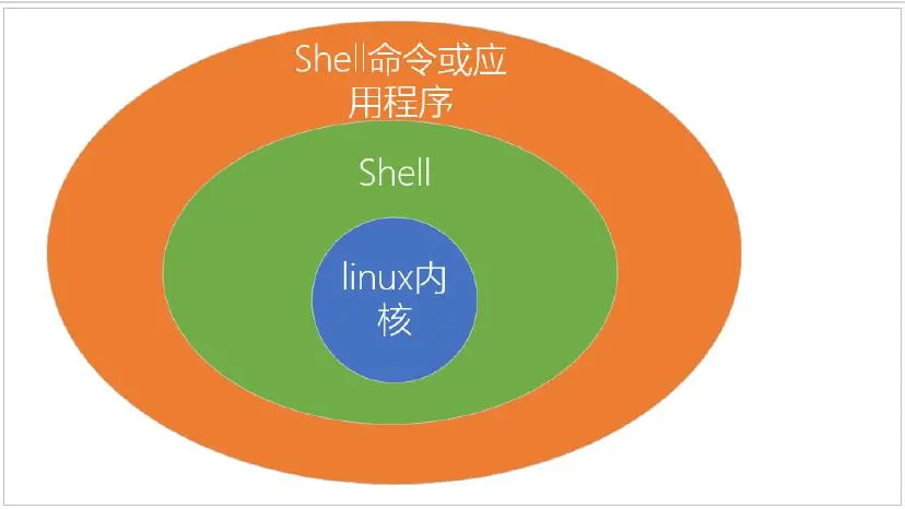 Shell脚本的变量
