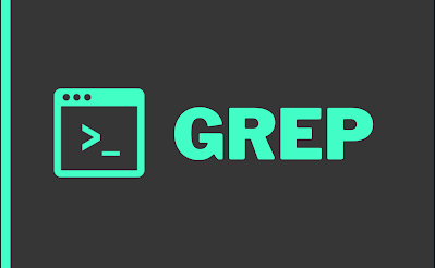 Linux 中 Grep 命令的常见示例，非常全面！