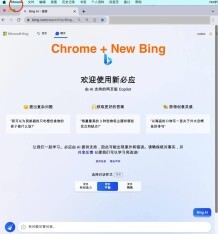 Chrome 无魔法使用新必应（New Bing）聊天机器人
