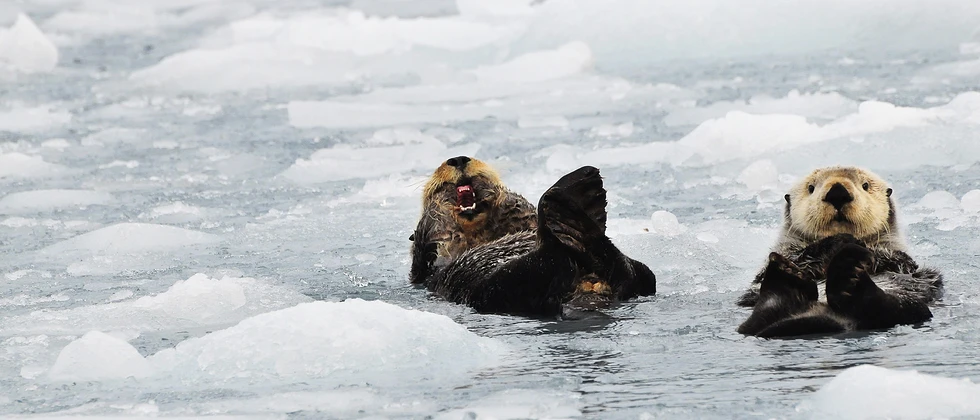 掰扯掰扯需求分析:从工程到生活中的4个case