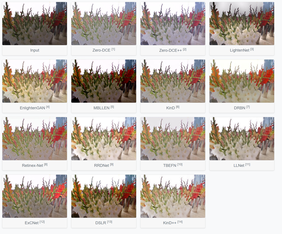 https://static001.geekbang.org/infoq/bf/bfcb6ea5a112ae6b3866fbf5415d48ed.png?x-oss-process=image%2Fresize%2Cw_416%2Ch_234