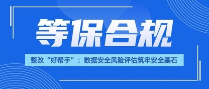 等保测评整改“好帮手”:数据安全风险评估筑牢安全基石
