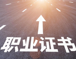 掌盟证书查询系统:一站式证书管理与查询解决方案