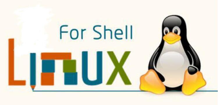 linux入门系列8--shell编程入门