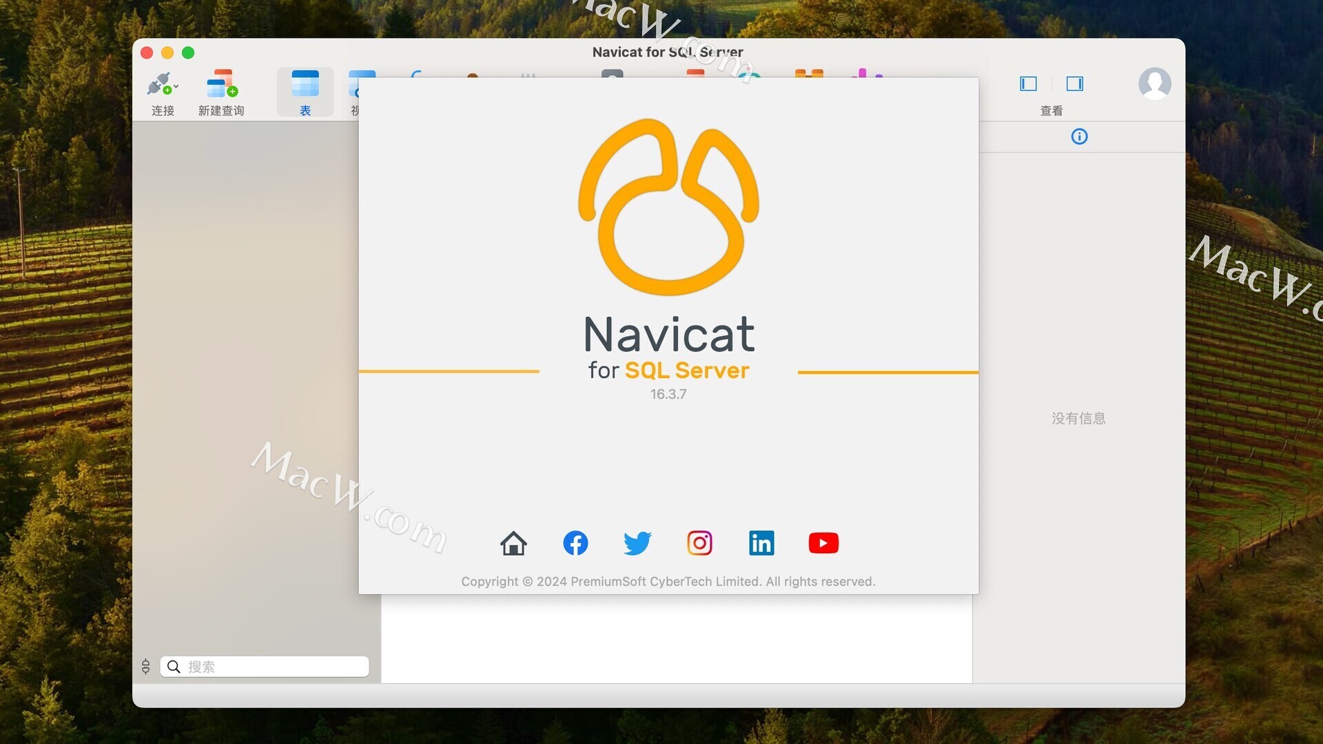 汉化版数据库 Navicat for SQL Server mac永久使用