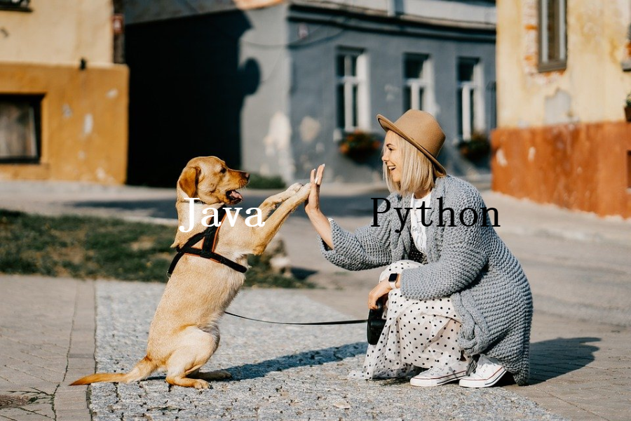 Java 和 Python 关于 % 的那些坑