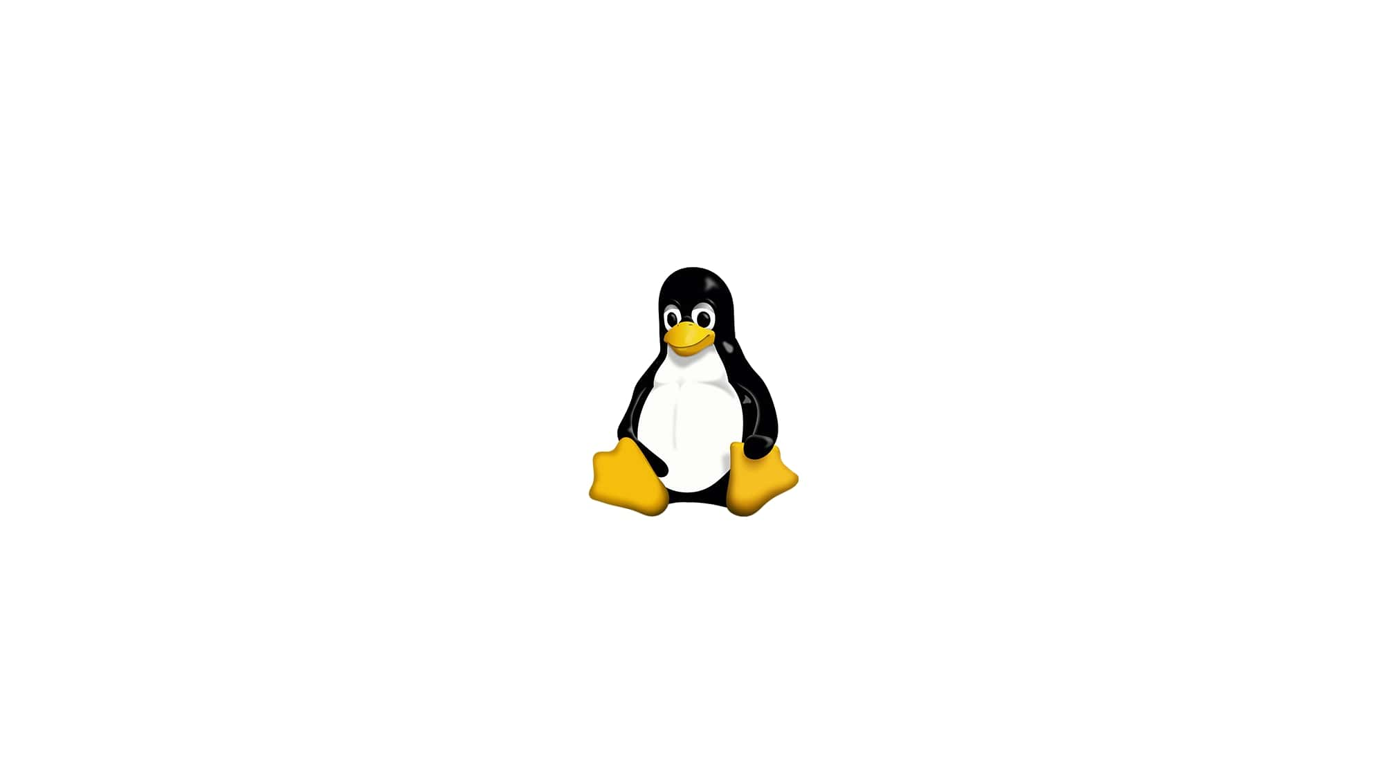 如何在 Linux 中查找文件所有者？