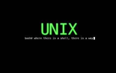 在 Linux 上有哪些运行程序的方式？