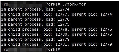 C++中fork函数的使用及原理
