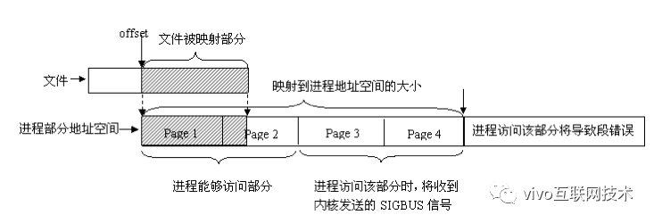 共享内存原理与VCS监控采集实战