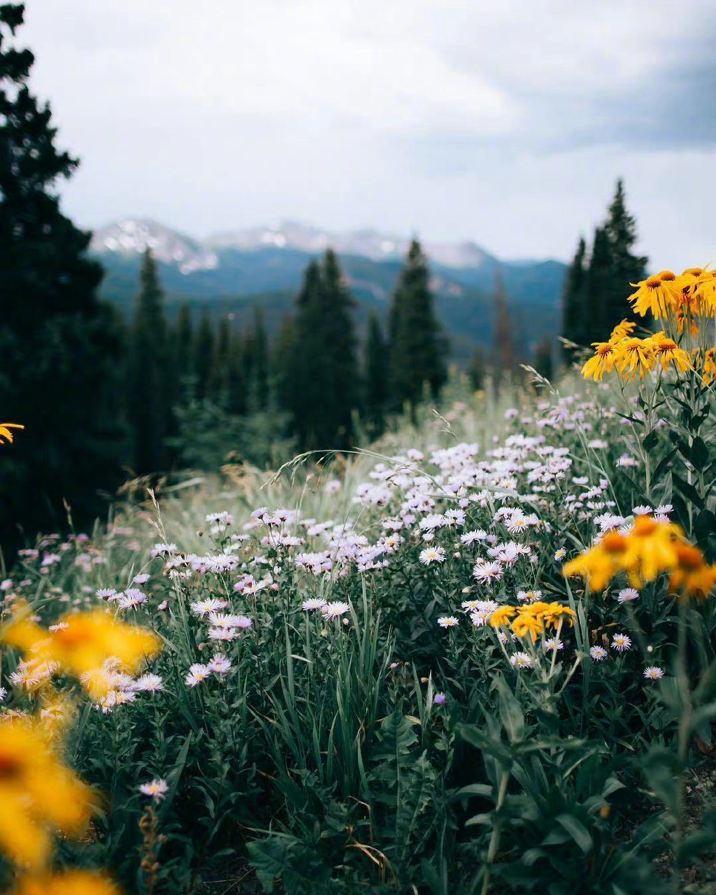 PNG转ETC2的底层逻辑与跨平台实践指南