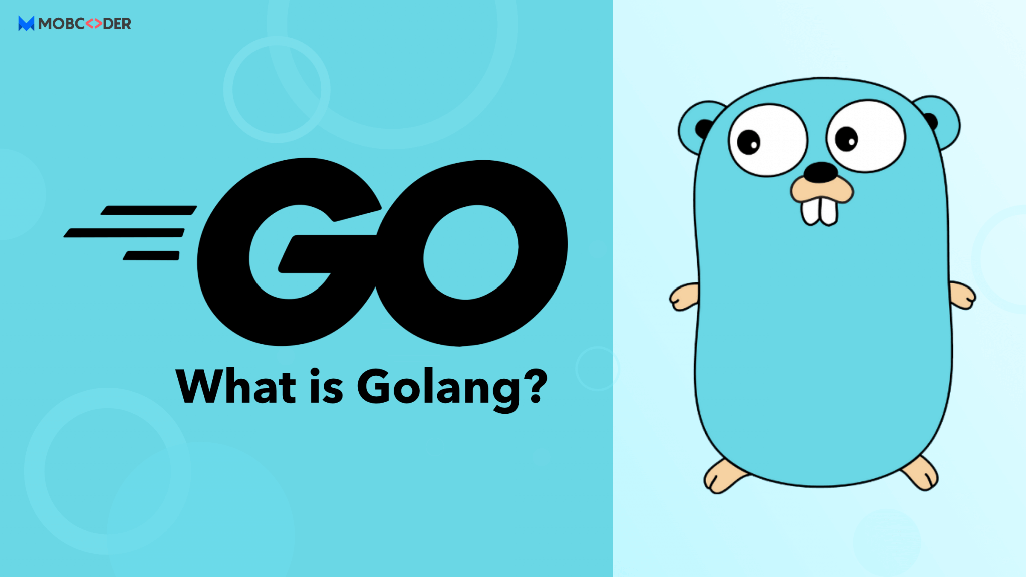 什么是 Golang？[译]