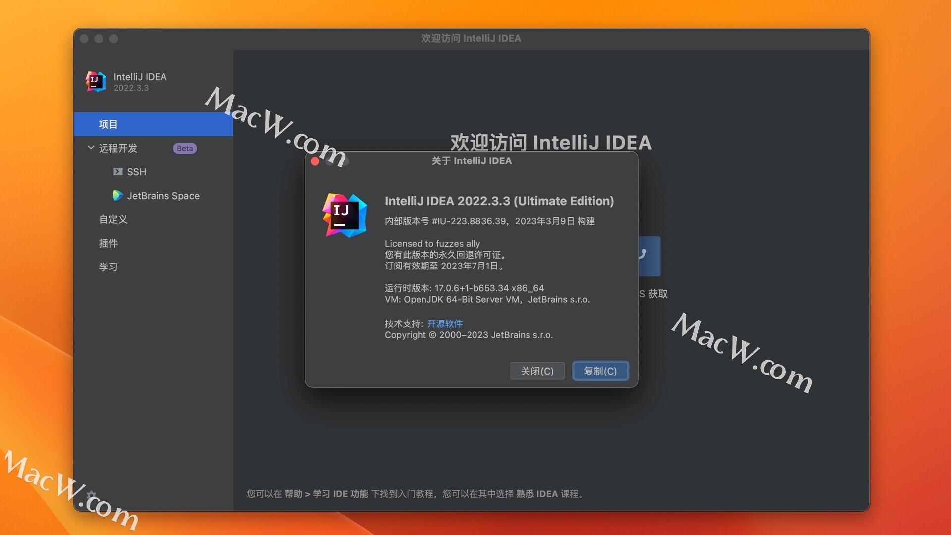 IntelliJ IDEA 2022 for Mac(Java开发工具) v2022.3.3汉化版