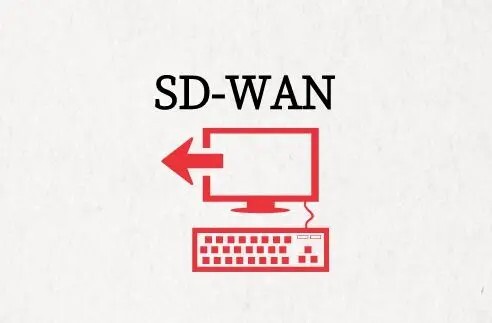 SD-WAN适用的几种公司类型