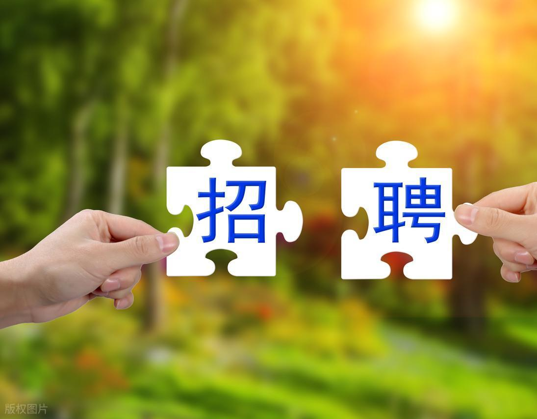 迈旗招聘相关系统介绍