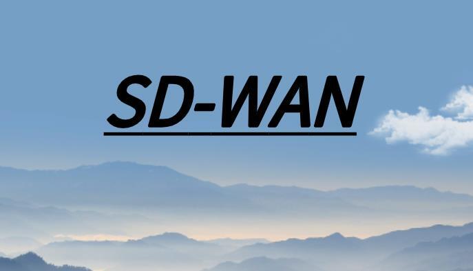 SD-WAN组网方式详解
