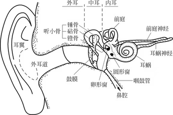 语音信号处理5：语音信号的感知