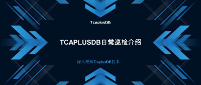 【深入理解TcaplusDB技术】TcaplusDB日常巡检介绍